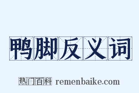 鸭脚反义词是什么意思的图片